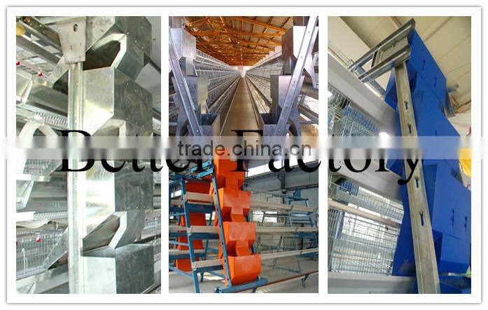 Hot-sale hign quality professional automatic chicken poultry feeding machine