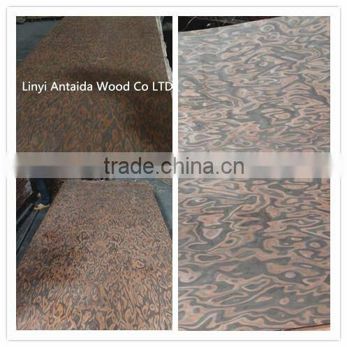Engineered Black Burl veneer plywood