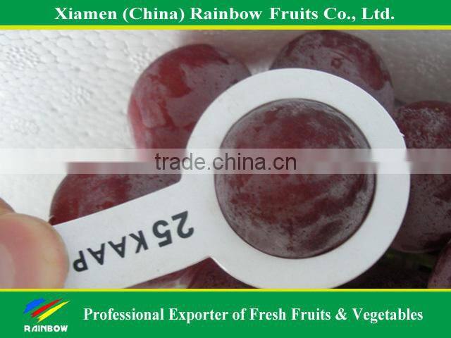 Chinese fresh red grape