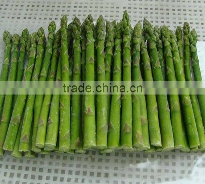 Hot sale IQF green asparagus for export