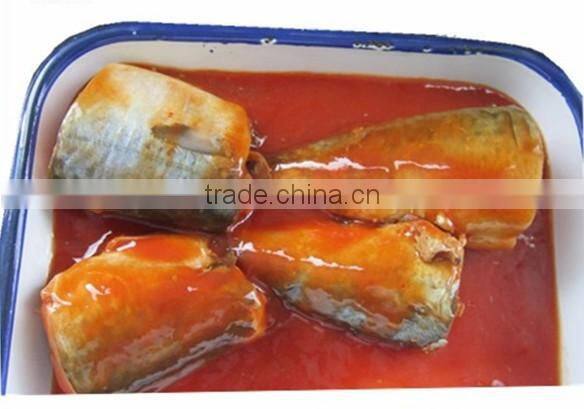 Canned Tuna Fish Chinese factory High Quality Canned Fish Sardine Fish in Canned Food Canned Mackerel