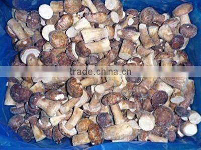 High quality frozen IQF small Oyster Mushroom