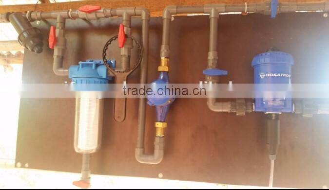 automatic poultry watering system for chickens