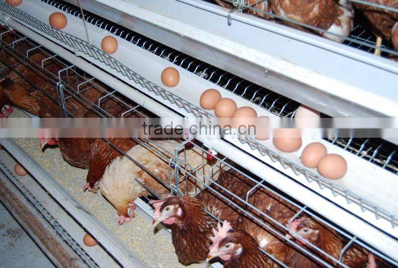 wholesale chicken cage(5 tiers)