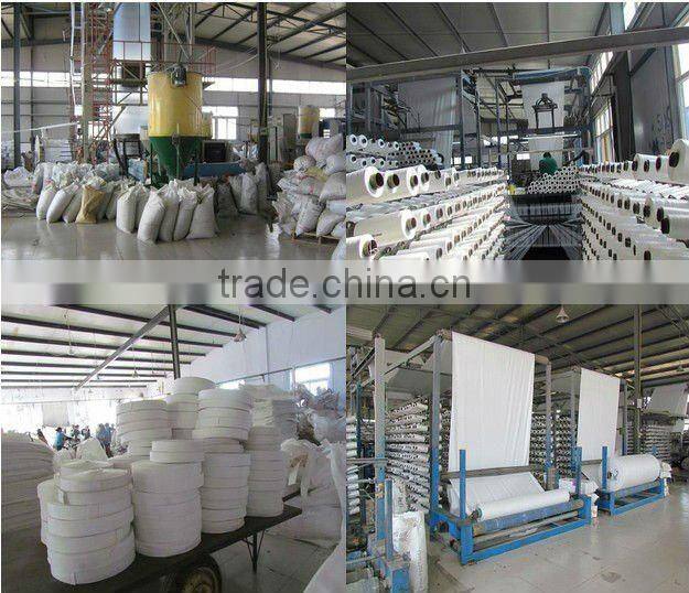 PP fabric/pp woven fabric/polypropylene fabric