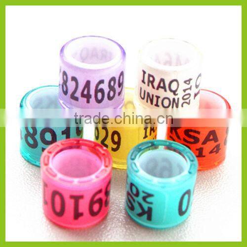Foot Tags For Pigeon