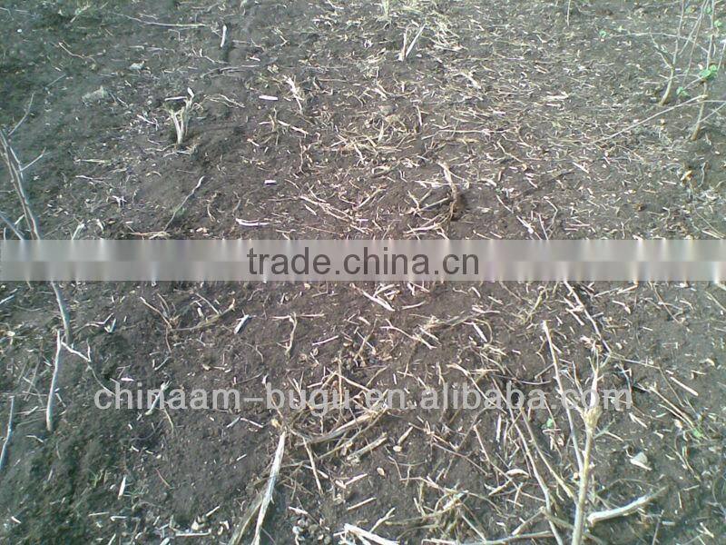 4JQ-1.8 maize silage harvester manufacturer