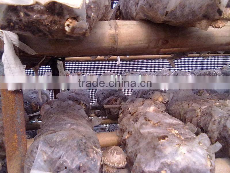 plastic film products mushroom greenhouse film for agriculture