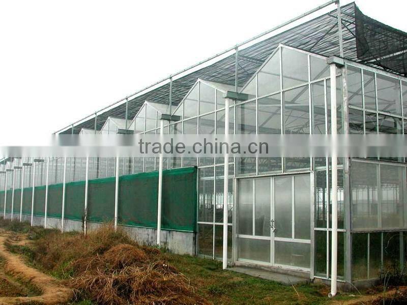 Glass sunlight greenhouse for vegetables