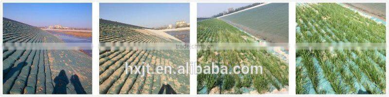 Flood control geobag