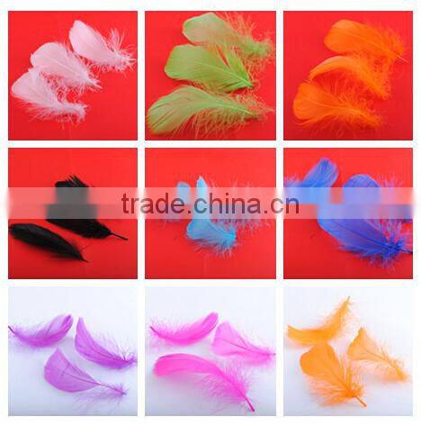 cosplay colorful feather wings