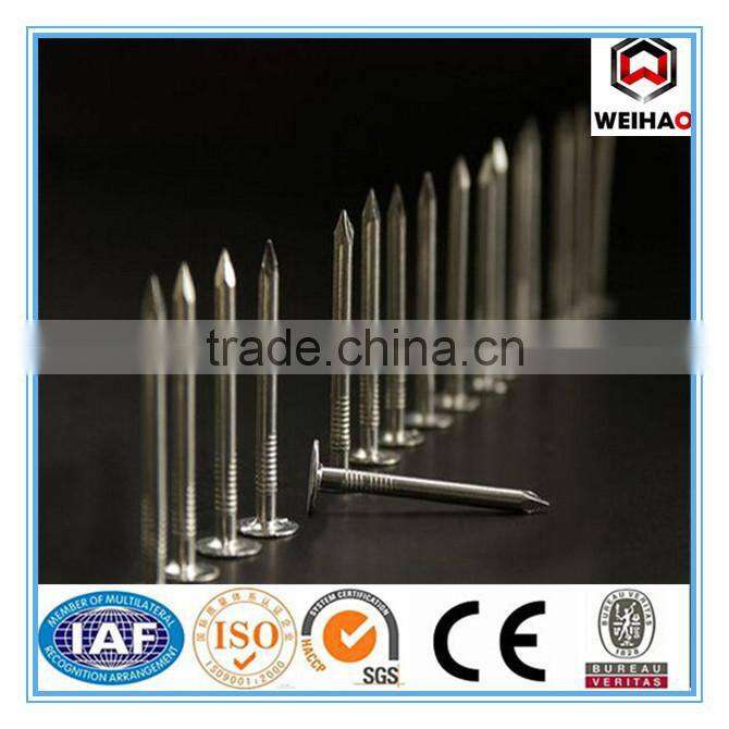 good quality cupper nails (factory)