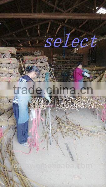 bamboo garden sticks /bamboo poles/bamboo canes