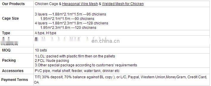 Automatic Cage System Chicken Farm Poultry Equipment