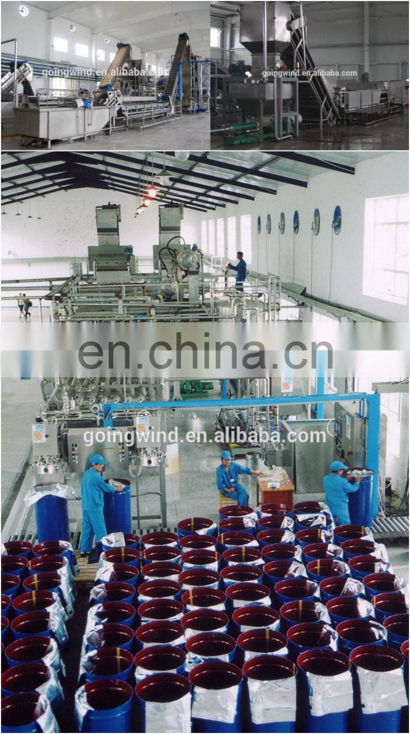 Automatic pineapple juice production line auto pineapple juice processing plant equipment factory machines cheap price for sale