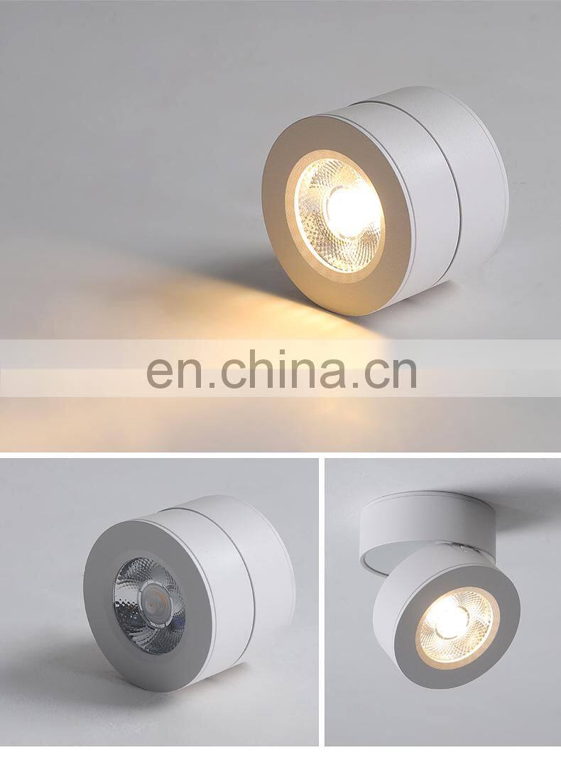Surface Mounted Metal LED Black And White Ceiling Lamp Nordic Cloakroom Decoration Ceiling Lighting