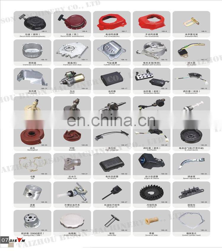 BISON(CHINA) Spare Parts Gasoline Engine 168F 168F-1 Ruixing Carburetor BS160 for Sale