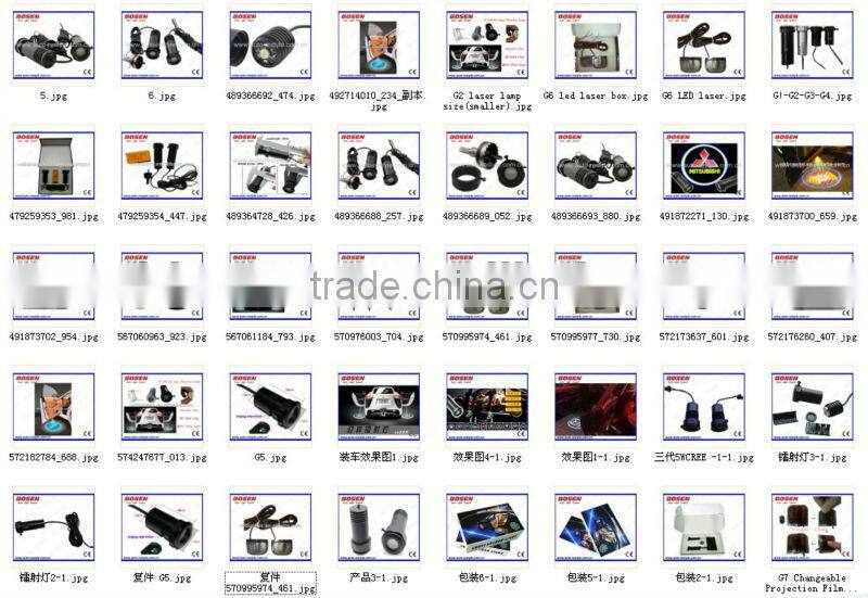 auto LED courtesy ghost door light