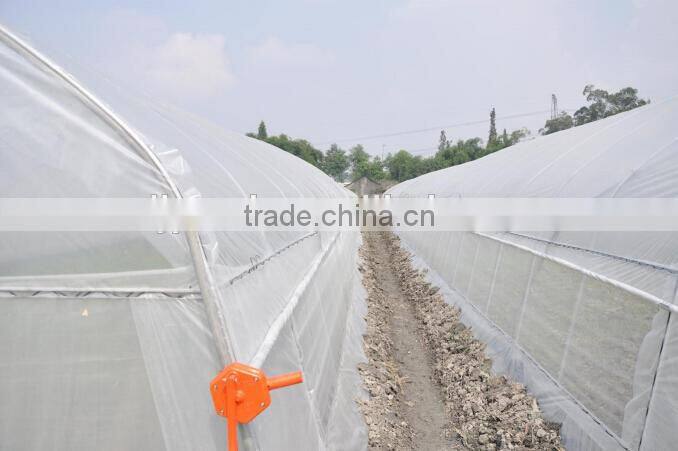 tomato plastic high tunnel greenhouse