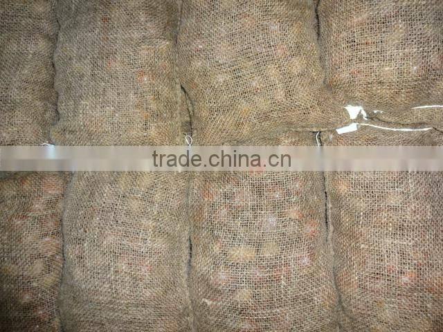 Chestnut Type and 10kg Gunnysack Packaging chestnut