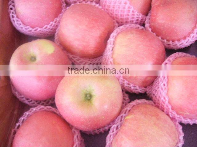 red Fuji apple from China