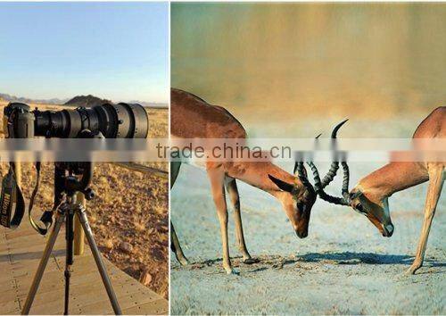 Hot Sale Gimbal Tripod Head for Digital DSLR Cameras