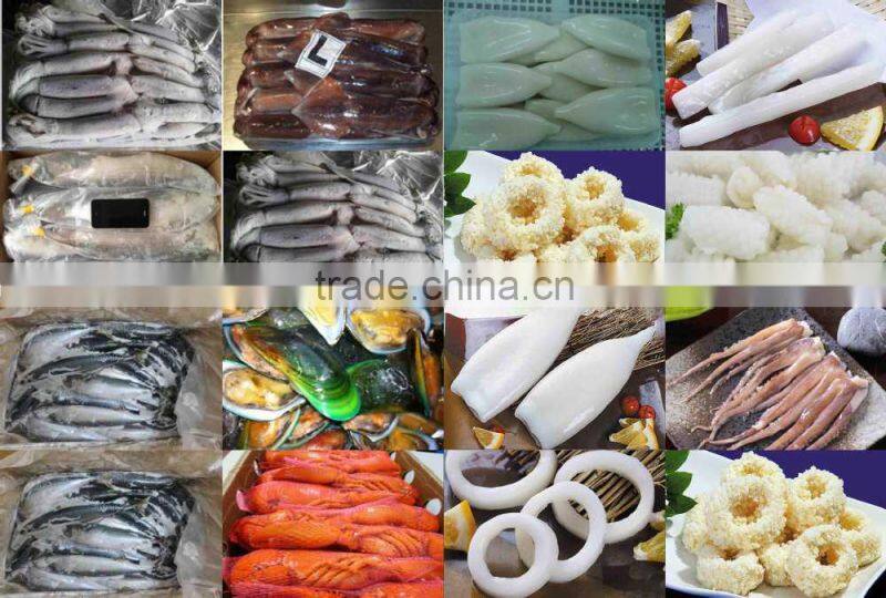 Frozen vannamei white Shrim