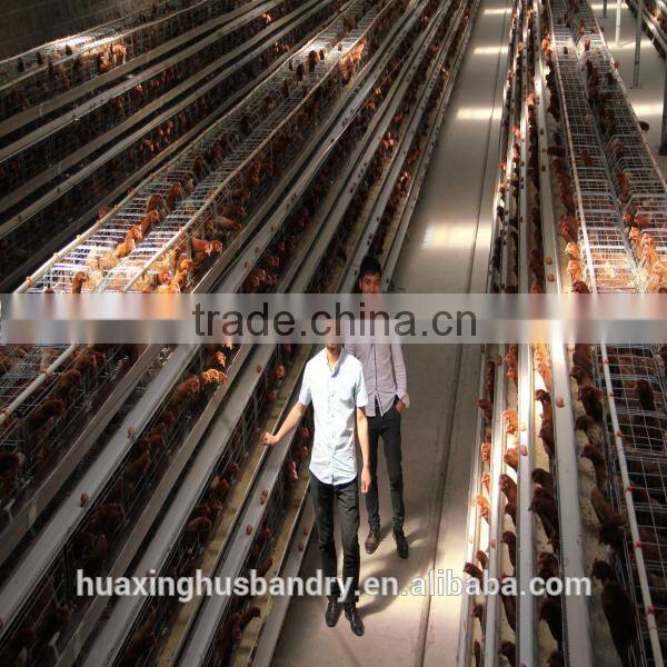 chicken layer cage for sale with chicken cage in China/chicken cage