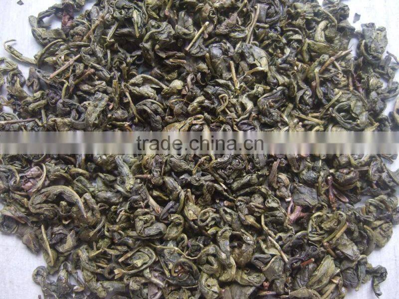 2016 new spring precious cheap hot sale gunpowder green tea 9275