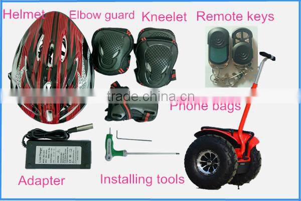 Factory outlet 2 wheel stand up electric chariot x2