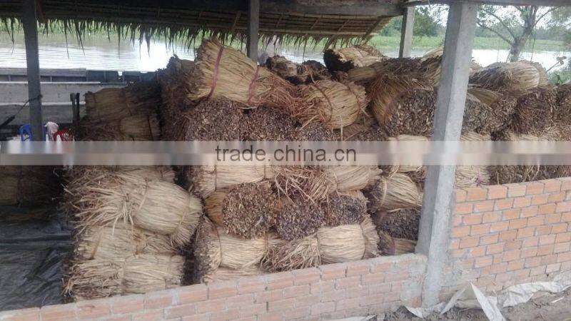 Water hyacinth Fiber _ Qiu qiu : 2598494113