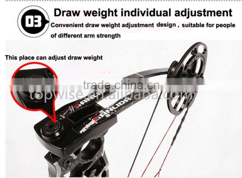 2016 New Design Compound Bow for Hunting and Shooting