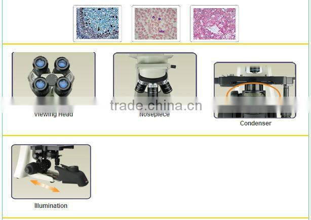 Biological Microscope