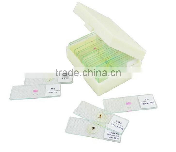 College and University Preparation Human Educational Pathology Slides