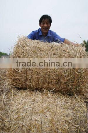 Compact Mini Round Wheat Straw Baler Price