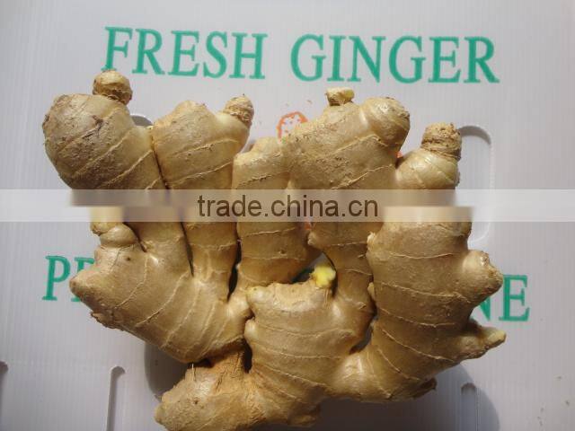 2014 new Fresh air dried ginger