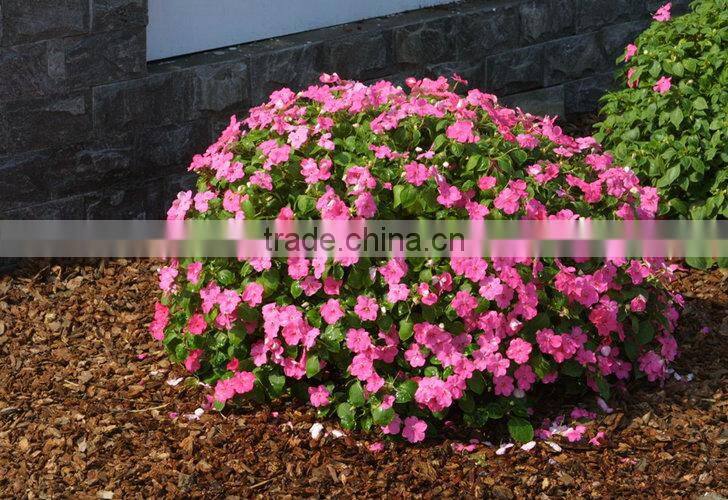 Landscaping Company Large Order Quantity Pine bark