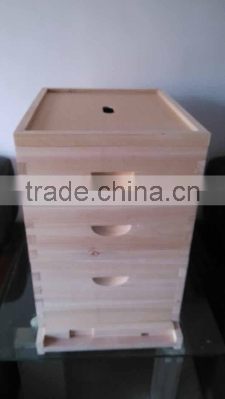 Live Pictures/Two Layer Bee Hive/Beekeeping Tools Bee Hive