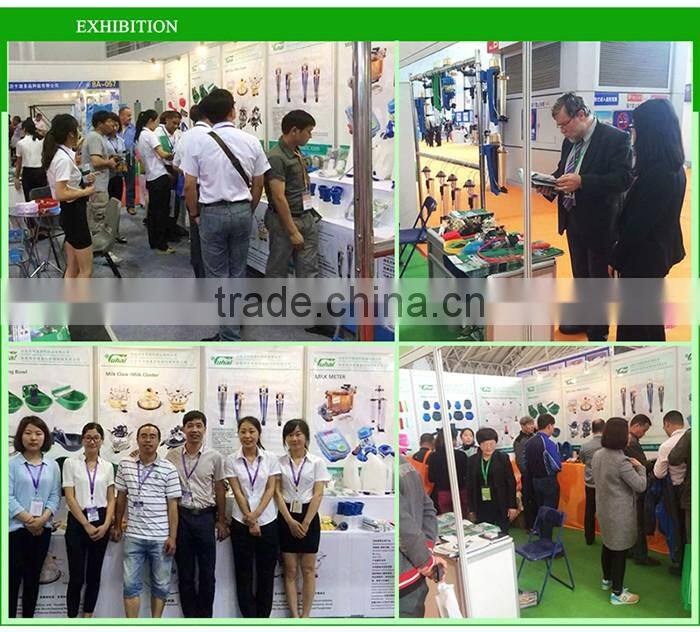 livestock poultry feeding trough for cow or hose