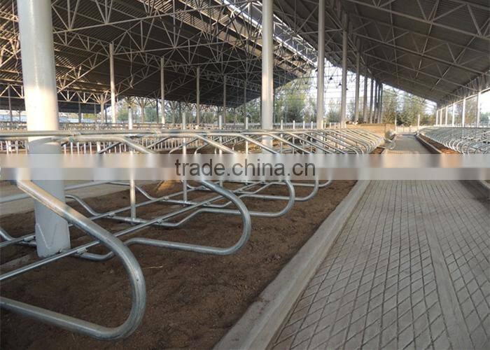 Dairy Cow Farm Equipment Cow Free Stall