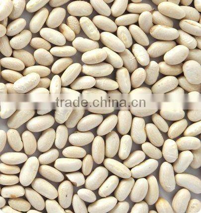 CCD white kidney bean sorting machine
