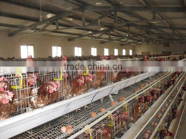 Design Layer Chicken Cage For Sale A-120