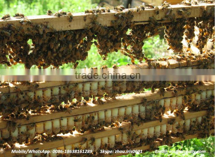Competitive Price Fresh Organic Royal Jelly 10-hda 1.8%