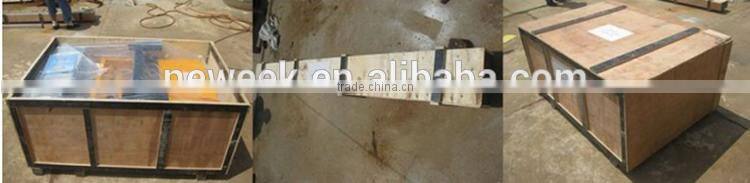 Neweek saving manpower automatic painting machine for wall