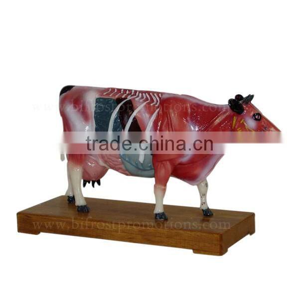 Vivid Education Animal Anatomical Plastic Model Cow