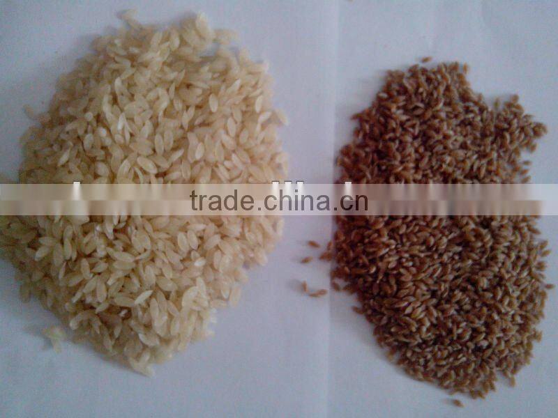 Single-screw Extruder Artificial Rice Making Machine