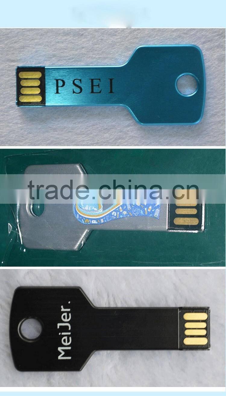 Free sample OEM custom logo U disk, Key USB flash stick, 8gb USB flash drive