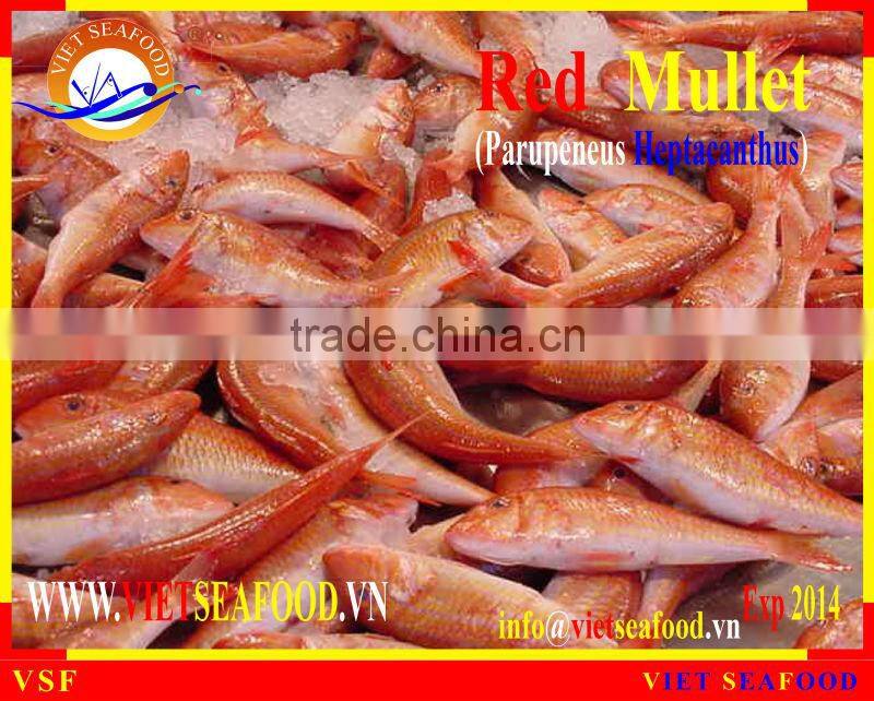 FROZEN RED MULLET WHOLE ROUND