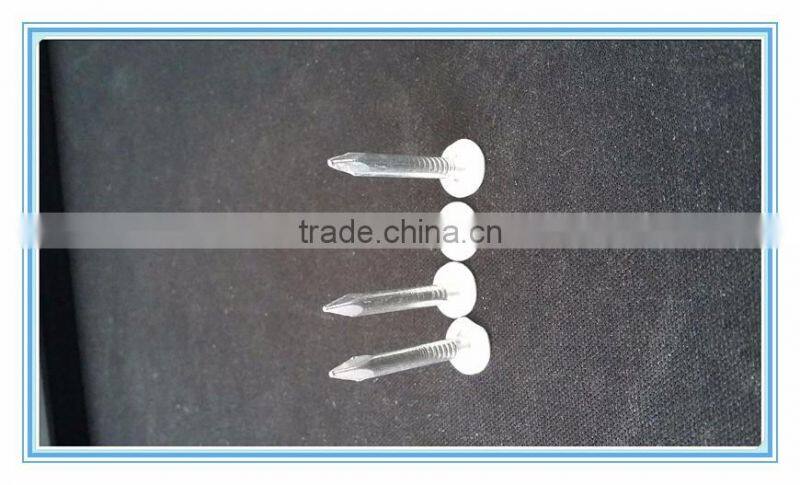 coil roofing,factory direct sale nails