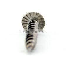 Made in Taiwan stainless steel 306 standard Tapping Screw self tapping screw